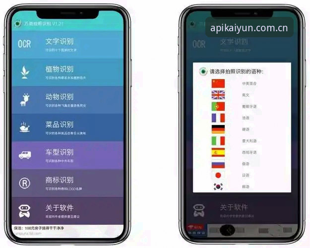 深度揭秘开云电脑版：老用户亲测后才知道的真相